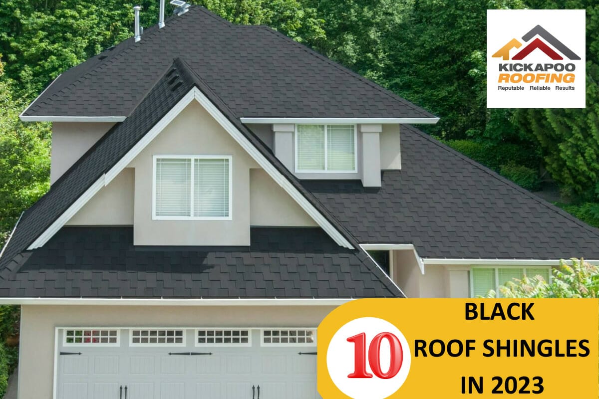 Want To Turn Heads With Your Roof? Try These 10 Black Roof Shingles In 2023